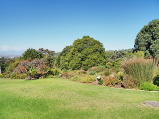 Fototapeta premium Nationaler Botanischer Garten Kirstenbosch - im Stadtteil&nbsp;Newlands&nbsp;von&nbsp;Kapstadt 
