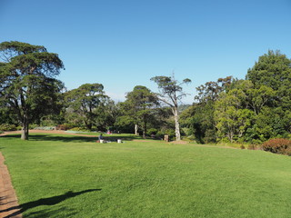 Nationaler Botanischer Garten Kirstenbosch - im Stadtteil Newlands von Kapstadt 