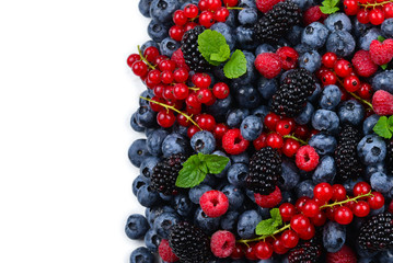 Blackberry, raspberry, blueberry,  red currant and mint background.