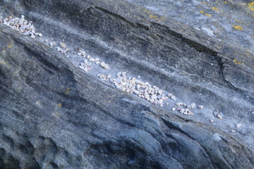 samll stones in a big stone abstract image