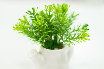Artificial green plant in a pot for interior decoration