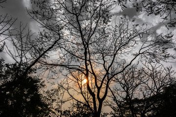 Sunrise on a cloudy morning amid dark surroundings