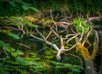 Krakower See, Kuchelmiß, Krakow am See, Mecklenburgische Seenplatte, Nebeldurchbruchtal