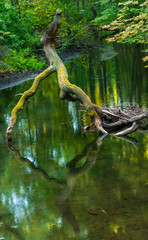 Krakower See, Kuchelmiß, Nebeltal, Nebeldurchbruchstal, Krakow am. See, Mecklenburgische Seenplatte