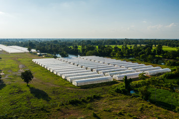 Row of white green houses
