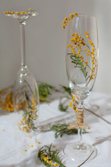 Creating table decoration for a wedding, birthday events or diy home decor. Decorated champagne glasses with yellow spring mimosa flowers, creative design. Selective focus
