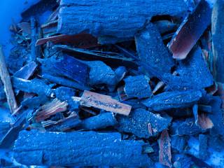 Nature. Tree bark phantom blue. Abstract closeup of a blue tree pieces of bark texture background