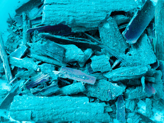 Nature. Tree bark Aqua mente. Abstract closeup of a blue tree pieces of bark texture background