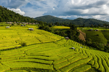 Aerial view of terrace farming on the hills