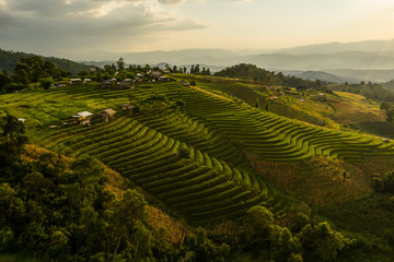 Fototapeta na wymiar Scenics view of terrace field on hills