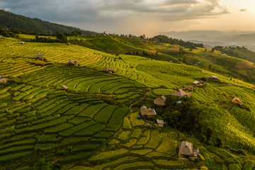 Scenics view of terrace field on hills