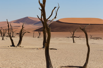 Deadvlei desert into the Namib-Naukluft National Park