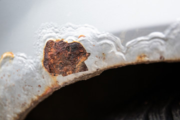Paint bubbles, cracked paint and rust. Weather and repair