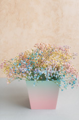 Multicolored bouquet of gypsophila flowers on a paper background