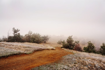 A dirt road amid hilly terrain. Grass and pine trees in hoarfrost and fog. early spring, late autumn, frost in the morning.