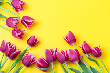 8 March Happy Women's Day. Easter and spring greeting card. Spring concept. Pink Purple tulips on yellow background. Copy space. Spring banner. Woman day concept. Copyspace for text.