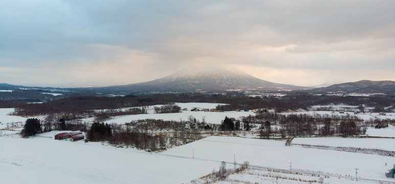 Winter landscape photo of snow covered farm fields and bare trees with the majestic Mount Yotei in the background