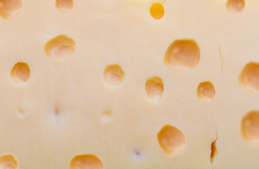Close-up (macro) Emmental Swiss cheese. Texture of holes and alveoli.