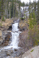 Cascading Tangle Creek Falls in Jasper National Park, Alberta, Canada