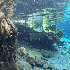 Underwater view in the river