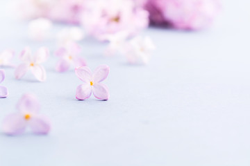 Obraz na płótnie Canvas Purple lilac flowers on gray background with copy space