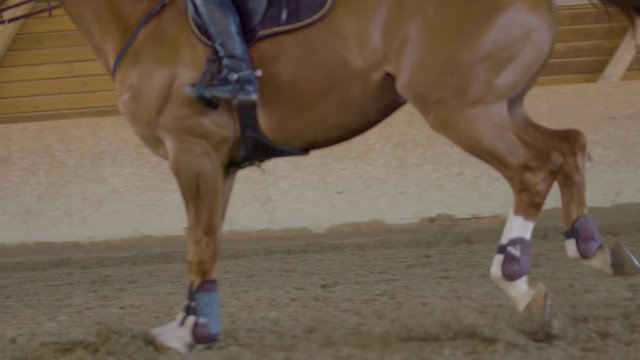 Prize Winning Horse And His Rider Jumping Obstacles Inside The Training Stables