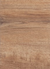 Wenge wood background, natural texture. Extremely high resolution illustration