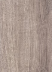 Wenge wood background, natural texture. Extremely high resolution illustration