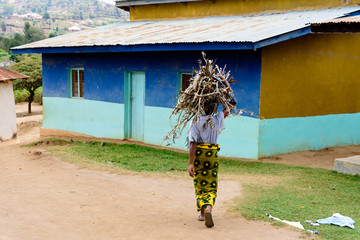 A woman carrying fire wood on her head