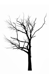 Black and white trees and branches on a white background
