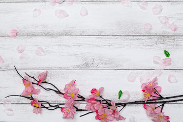 桜の花びらと白板