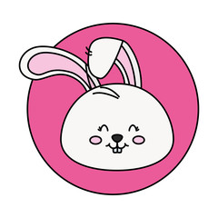 head of cute rabbit in frame circular vector illustration design
