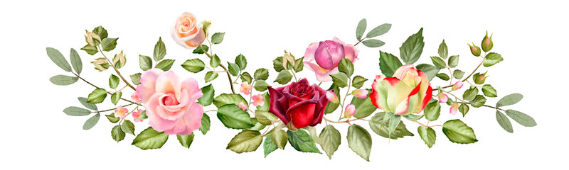 Naklejka premium Horizontal border watercolor bouquet of blossom roses, buds and leaves. Spring or summer flowers for invitation, wedding or greeting cards.