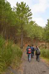 Obraz premium Mount Somma, Naples / Italy - March 2020: Trekking on Mount Somma, visiting the burnt area and the quary.