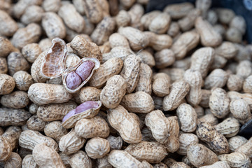 The new peanuts are drying in the sun