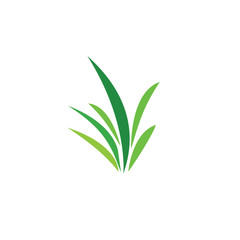 Green grass. Gazon. Spring. Vector icon. web version.
