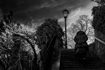 Fototapeta premium Lady on Steps