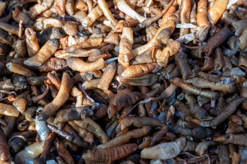 Making process of handmade food for sand worms