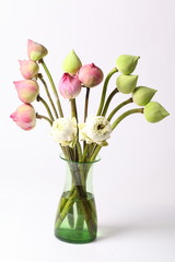 Green white and pink lotus flower in glass green vase