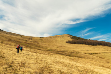 backpack hiking life style touristic landscape photography of two people back to camera walking highland Carpathian mountain environment in Ukraine