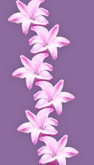 Trends flower collage: pink hyacinths on a pastel purple background. Minimalism. The concept of flowering, holiday, spring, summer. Suitable as a postcard, print. Isolate