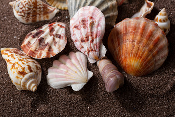 Sea and vacation concept