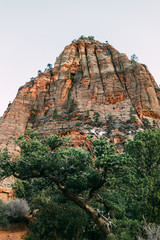 Fototapeta premium Zion National Park