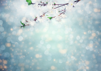 spring background flowering white cherry flowers tree and abstract bokeh