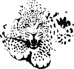 Naklejki  Ręcznie rysowane jaguar. Wektor na przezroczystym tle
