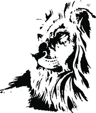  Hand drawn lion. Vector isolated on a transparent background