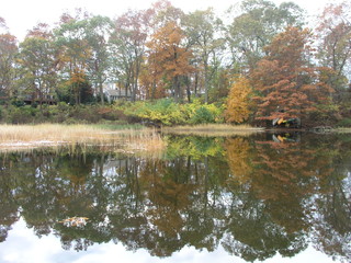Fototapeta na wymiar River with autumn trees