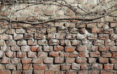 Muro in mattoni d'argilla, vintage e danneggiato