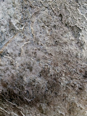 frost white background black light vintage grunge background texture winter parchment paper abstract gray background white paper canvas linen texture monochrome background elegant website design web