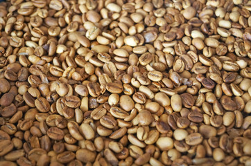 Coffee beans roasted to golden and brown are on the counter in the store